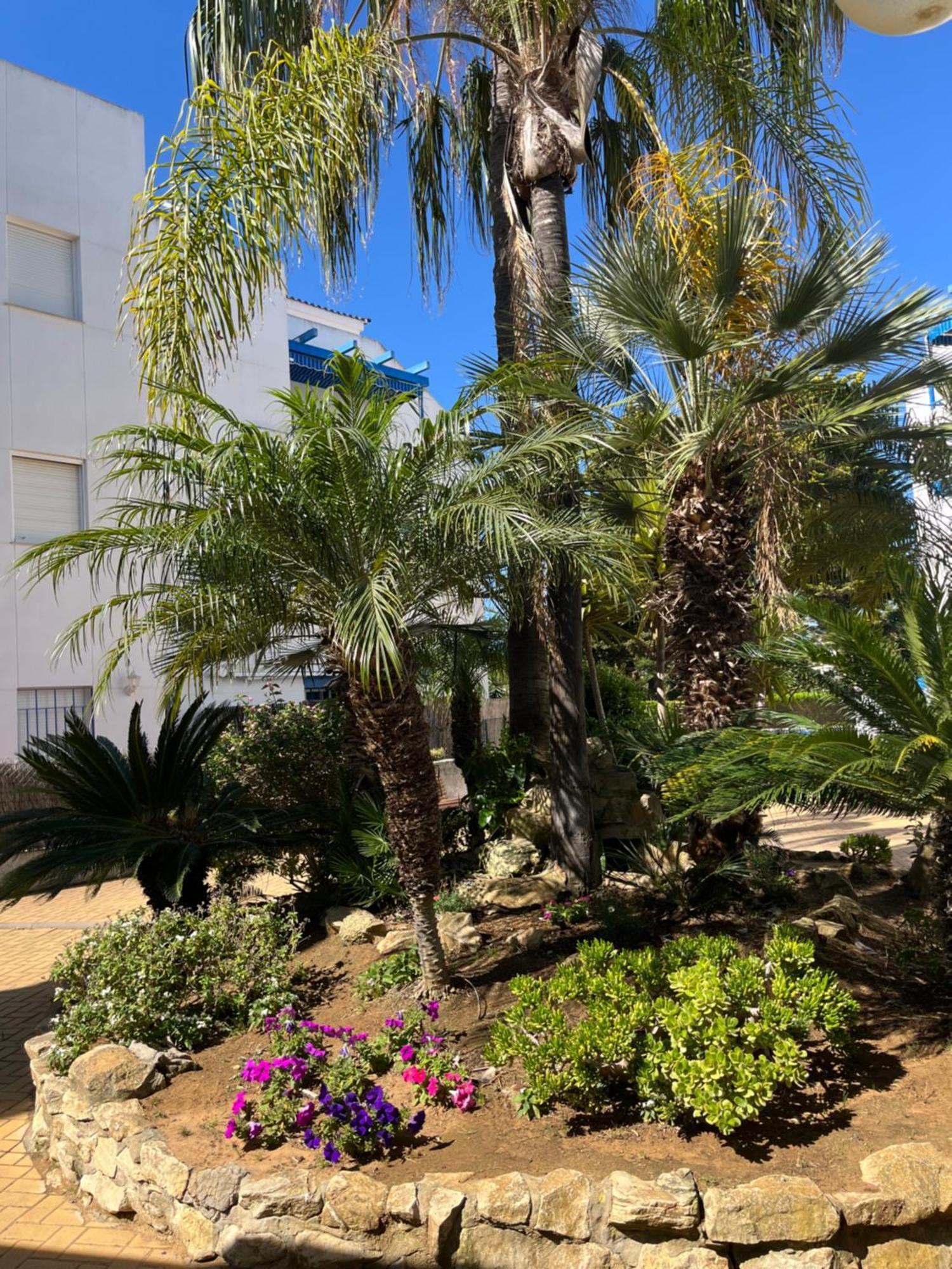 Apartamento En Costa Ballena, Urb. Playa Ballena กาดิซ ภายนอก รูปภาพ